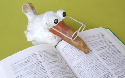 Transkreation und Übersetzung